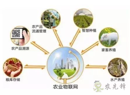 為農(nóng)業(yè)插上翅膀，物聯(lián)網(wǎng)引領(lǐng)下一個農(nóng)業(yè)時代！