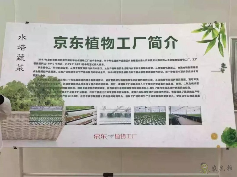 京東的這些“網(wǎng)紅”農(nóng)業(yè)項目，你都知道嗎？