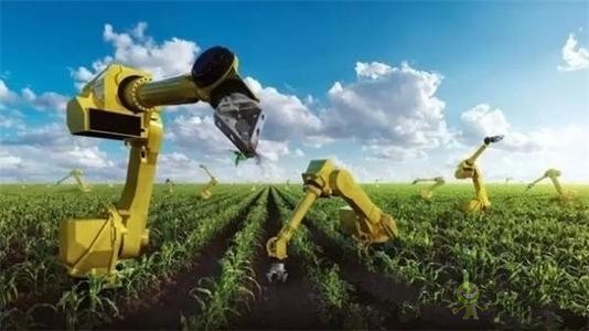 當機器人走進農(nóng)場，奶牛都震驚了！