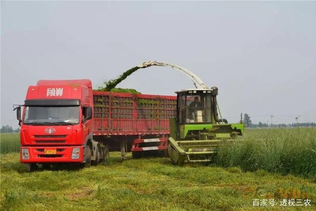 霸氣,江蘇省第一個(gè)把農(nóng)業(yè)機(jī)器人納入補(bǔ)貼