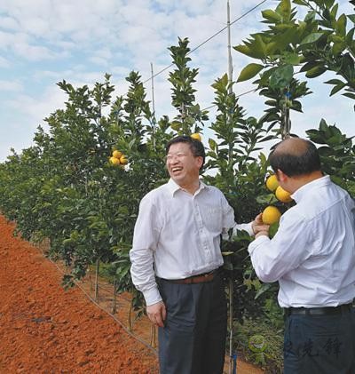國家現(xiàn)代農(nóng)業(yè)(柑橘)首席科學(xué)家鄧秀新數(shù)十年助力農(nóng)民增收