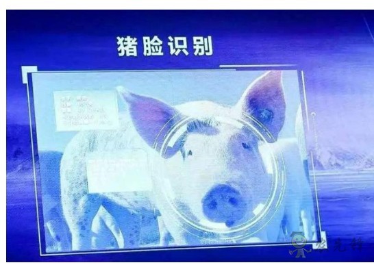 豬臉識(shí)別？——阿里巴巴新研發(fā)智能農(nóng)業(yè)平臺(tái)