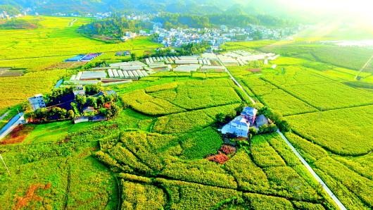 生態(tài)安全