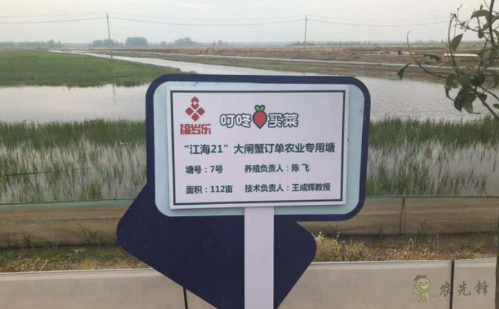 “互聯網+農業(yè)”重構產銷 叮咚買菜訂單農業(yè)養(yǎng)殖新模式