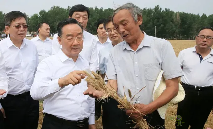 唐仁健部長：今年夏糧再獲豐收！多地機(jī)收損耗降低1個百分點以上！