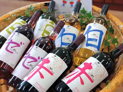 日本農(nóng)業(yè)：憑為什么能走在世界前列，有一個(gè)點(diǎn)值得我們學(xué)習(xí)