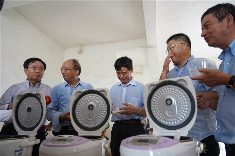 雙季早粳稻實現(xiàn)“零的突破” 可提前三個月吃上優(yōu)質新米