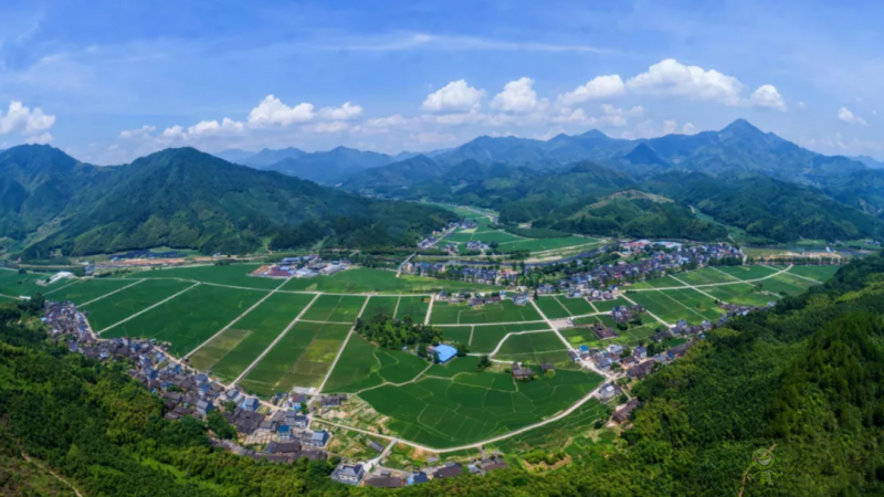 省農(nóng)辦印發(fā)意見,進一步加強山區(qū)26縣結(jié)對幫扶工作