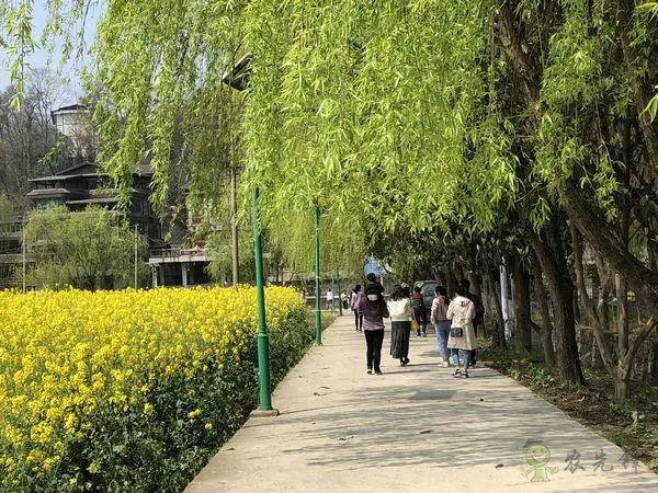 貴州:全力開創(chuàng)休閑農(nóng)業(yè)和鄉(xiāng)村旅游發(fā)展新局面
