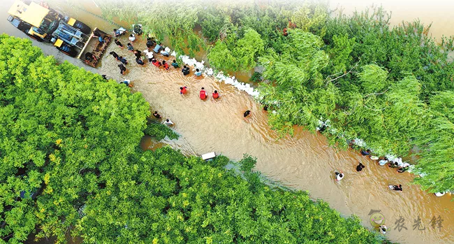 【觀點】建好農(nóng)村應(yīng)急防御機制，才能與極端天氣短兵相接