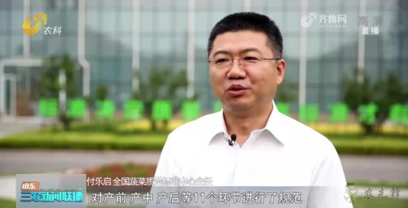 “壽光標(biāo)準(zhǔn)”向全國輸出 推動(dòng)蔬菜產(chǎn)業(yè)提檔升級