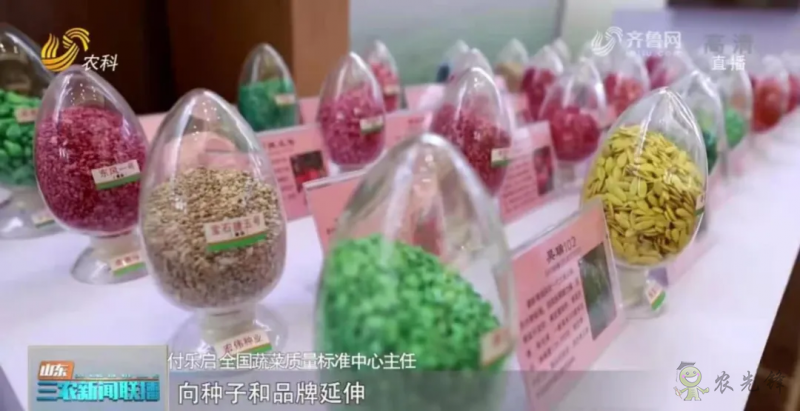 “壽光標(biāo)準(zhǔn)”向全國輸出 推動(dòng)蔬菜產(chǎn)業(yè)提檔升級