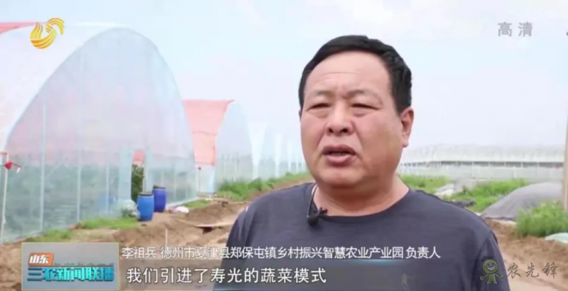 “壽光標(biāo)準(zhǔn)”向全國輸出 推動(dòng)蔬菜產(chǎn)業(yè)提檔升級