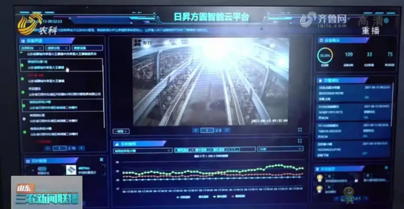 山東日照: 智慧養(yǎng)殖新模式 36萬只肉雞養(yǎng)殖不犯難