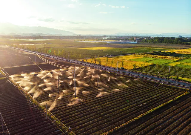 8 月 30 日，湖南省永州市道縣清塘鎮(zhèn)濂溪大洞蔬菜基地，灌溉系統(tǒng)在給蔬菜澆水 陳思汗攝 / 本刊