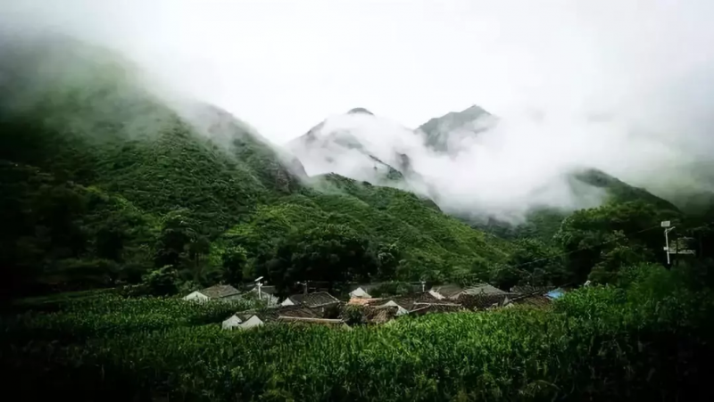 當代中國農(nóng)業(yè)轉(zhuǎn)型技術(shù)選擇之爭:化學化？轉(zhuǎn)基因？