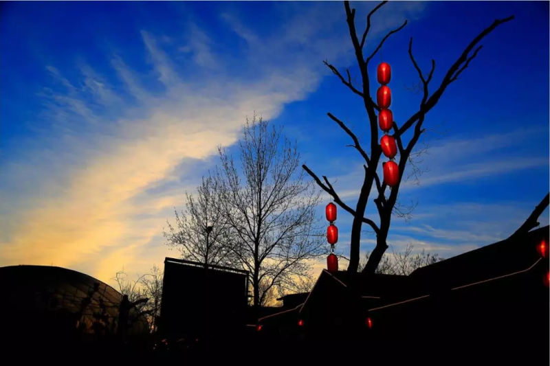 當代中國農(nóng)業(yè)轉(zhuǎn)型技術(shù)選擇之爭:化學化？轉(zhuǎn)基因？