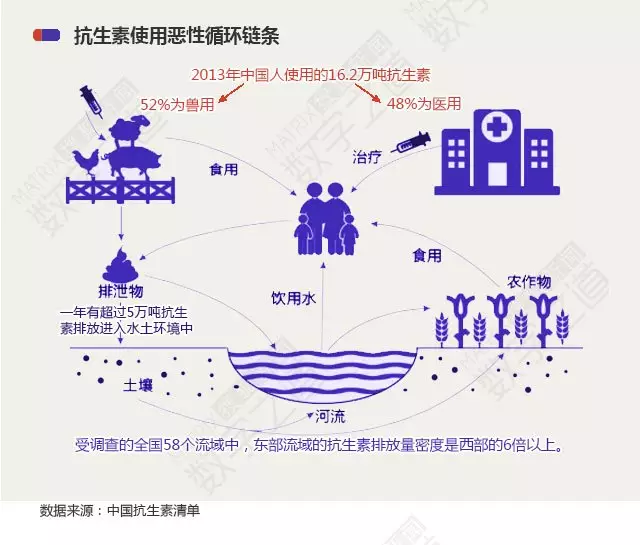 “抗生素肉”擺滿中國人餐桌，豬肉含量居然是牛肉的5倍!