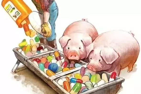 “抗生素肉”擺滿中國人餐桌，豬肉含量居然是牛肉的5倍!