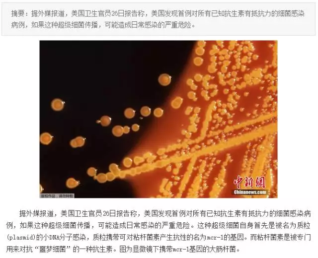 “抗生素肉”擺滿中國人餐桌，豬肉含量居然是牛肉的5倍!