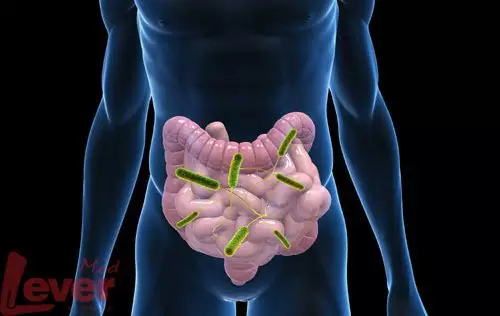 “抗生素肉”擺滿中國人餐桌，豬肉含量居然是牛肉的5倍!