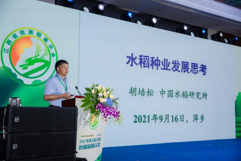 李立秋：種業(yè)振興，難題怎么解？