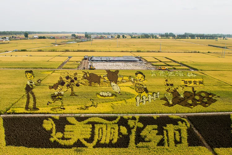 習(xí)近平：堅(jiān)持農(nóng)業(yè)農(nóng)村優(yōu)先發(fā)展，加快農(nóng)業(yè)農(nóng)村現(xiàn)代化