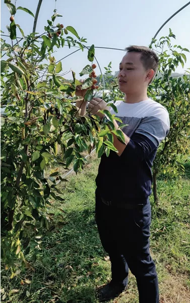 寧鄉(xiāng):新型職業(yè)農(nóng)民成為令人羨慕的“綠領(lǐng)”