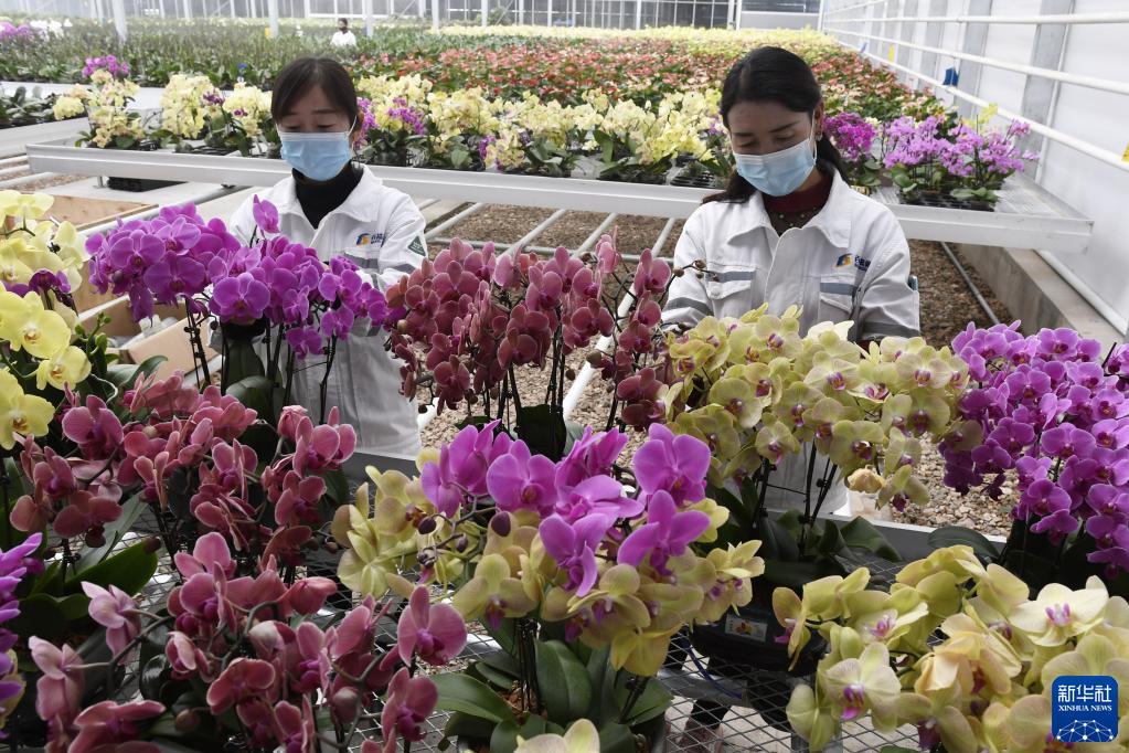 新華社發(fā)(史有東 攝)