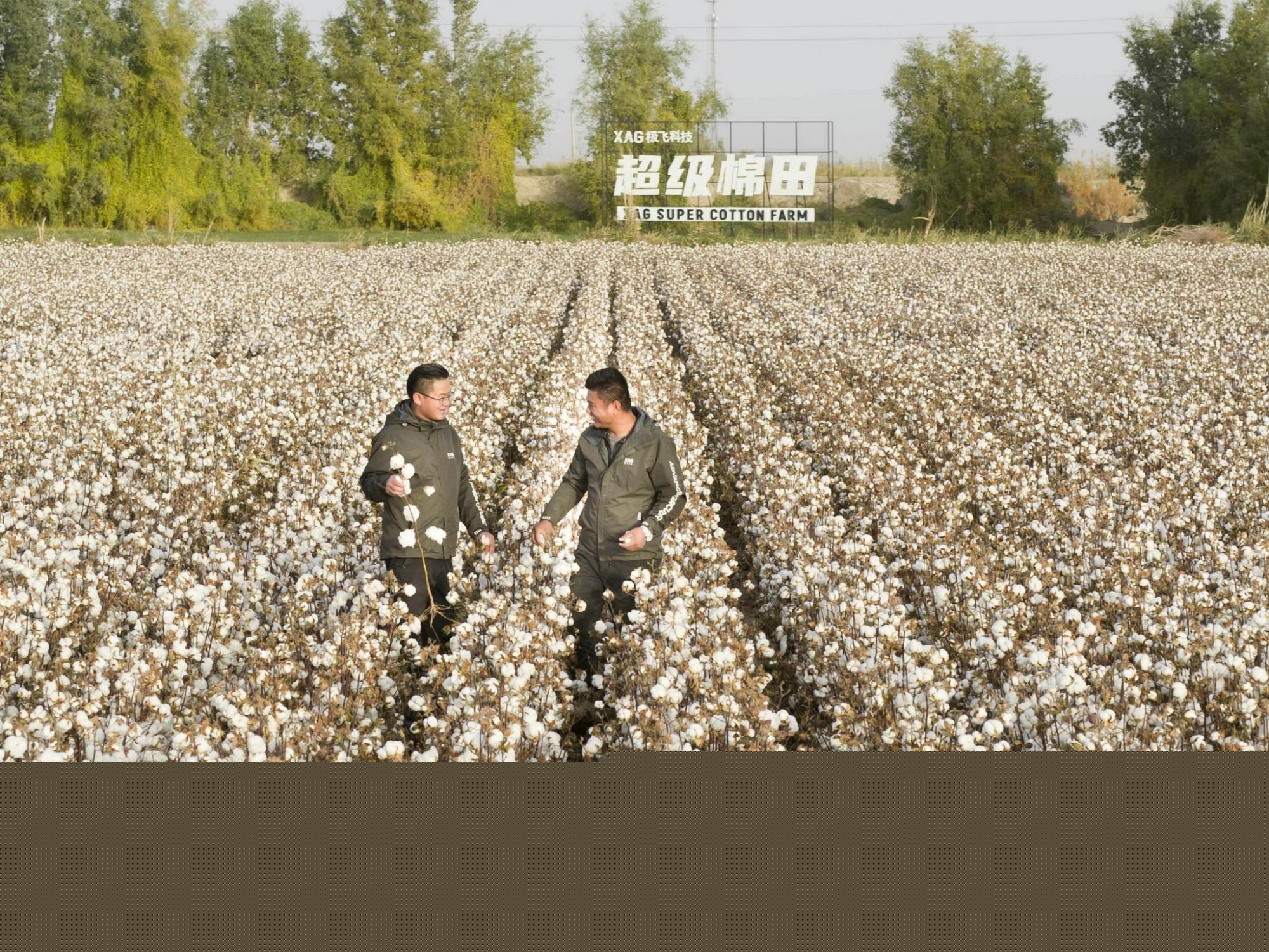 極飛科技