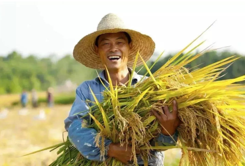 鄉(xiāng)村振興缺人才，加強(qiáng)推進(jìn)人才走進(jìn)鄉(xiāng)村
