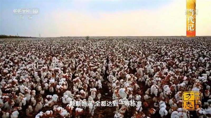 大數據賦能 智慧農業(yè)技術助力汶上糧棉產業(yè)大發(fā)展