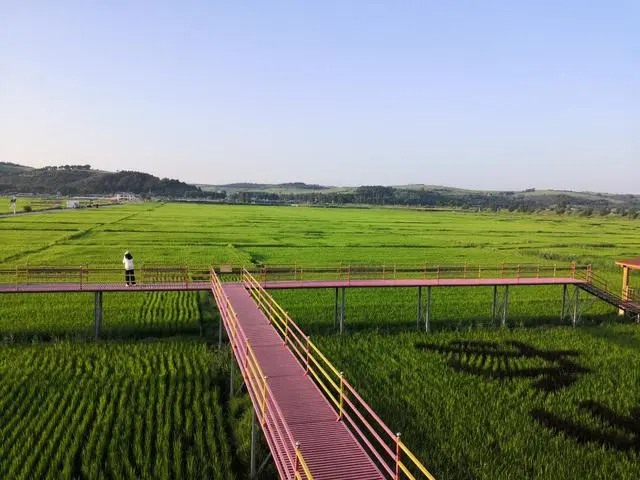 吉林省現(xiàn)代農(nóng)業(yè)“打開方式”新觀察