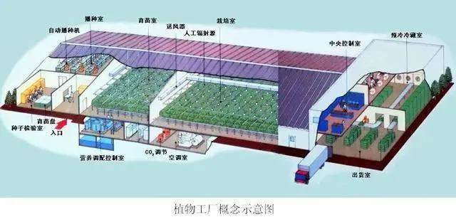 康養(yǎng)農(nóng)業(yè)+植物工廠+智能化，融合協(xié)同發(fā)展
