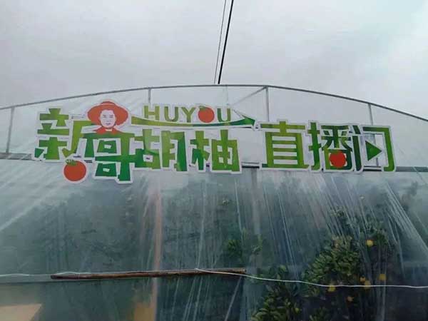 大地量子 “數(shù)字地球PaaS平臺(tái)” 被評(píng)為2021數(shù)字鄉(xiāng)村大腦十強(qiáng)