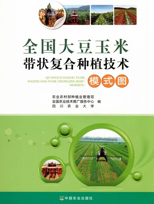 玉米大豆長期發(fā)展趨勢！大豆自產(chǎn)量可增三倍，利潤翻倍！