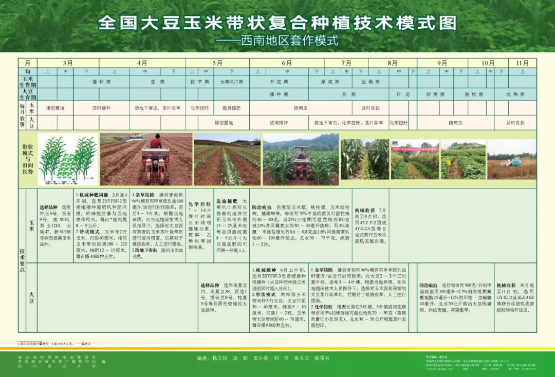 玉米大豆長期發(fā)展趨勢！大豆自產(chǎn)量可增三倍，利潤翻倍！