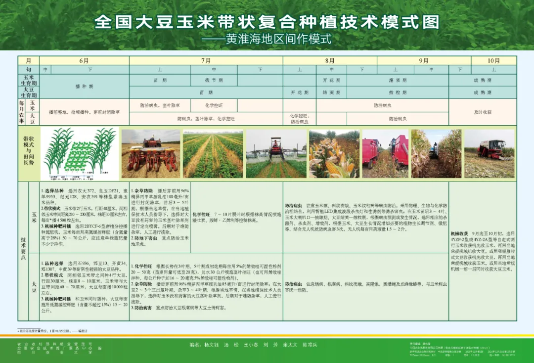 玉米大豆長期發(fā)展趨勢！大豆自產(chǎn)量可增三倍，利潤翻倍！