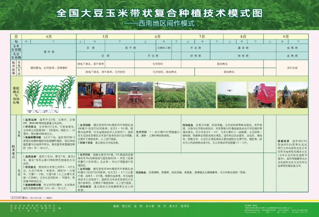 玉米大豆長期發(fā)展趨勢！大豆自產(chǎn)量可增三倍，利潤翻倍！