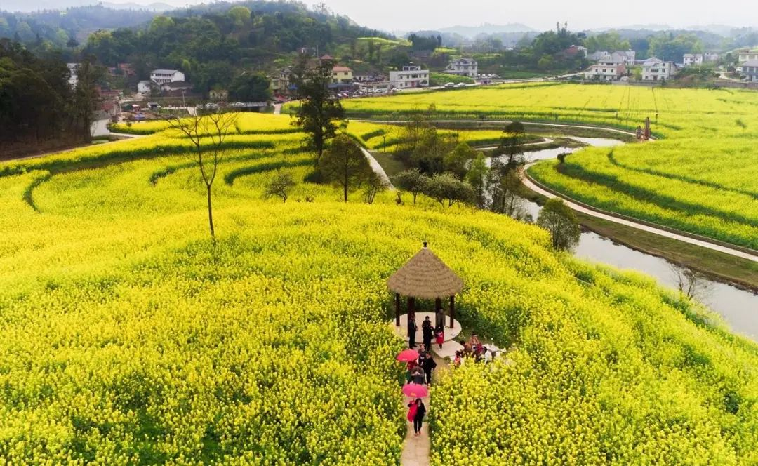 “特色小鎮(zhèn)”接連失敗，農(nóng)村旅游開(kāi)發(fā)如何做？