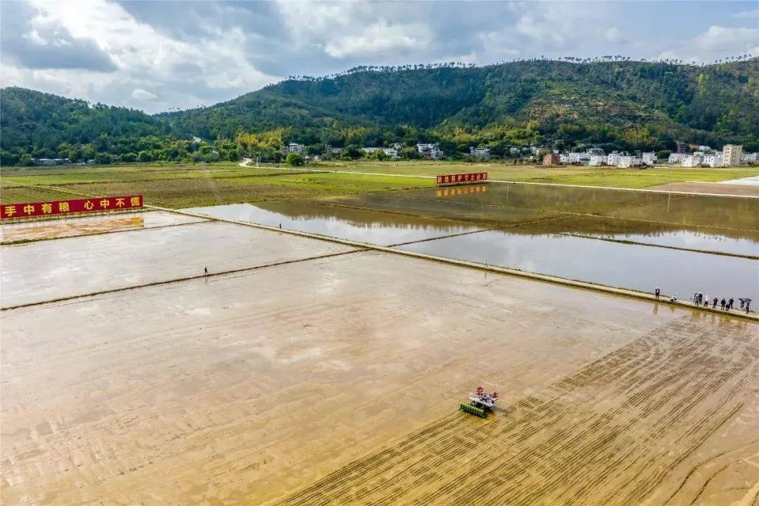 首次無人駕駛水直播機播種“太空稻”！羅錫文院士：屬全國首次！
