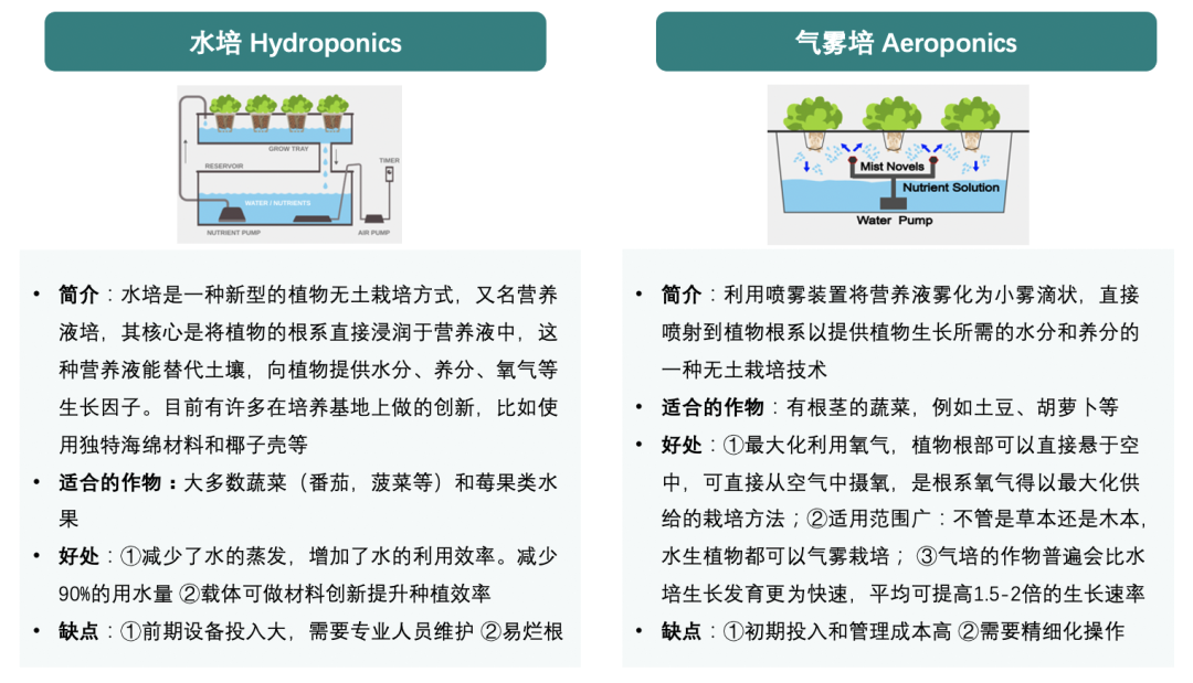 垂直農(nóng)業(yè)，一個可持續(xù)的未來？