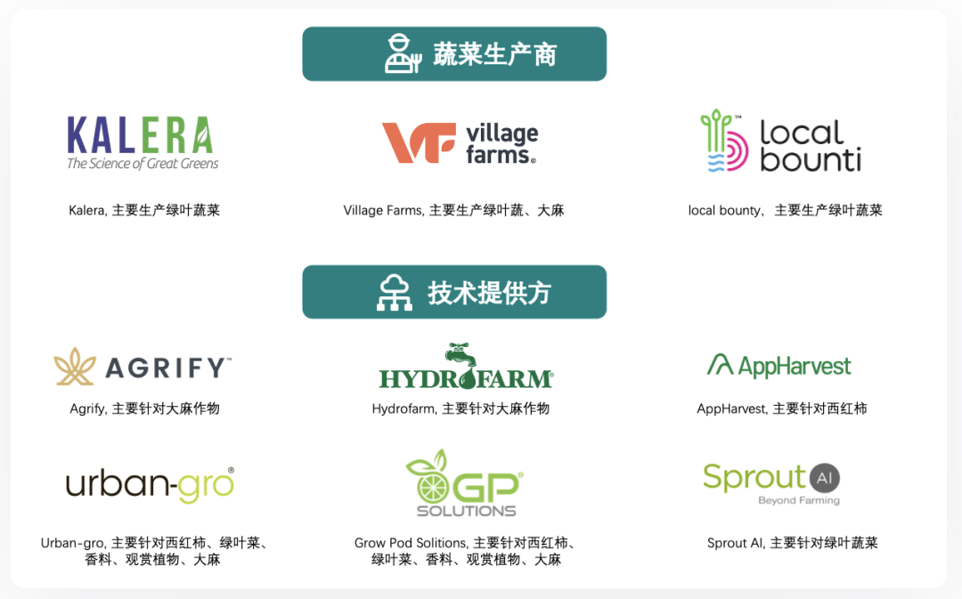 垂直農(nóng)業(yè)，一個可持續(xù)的未來？