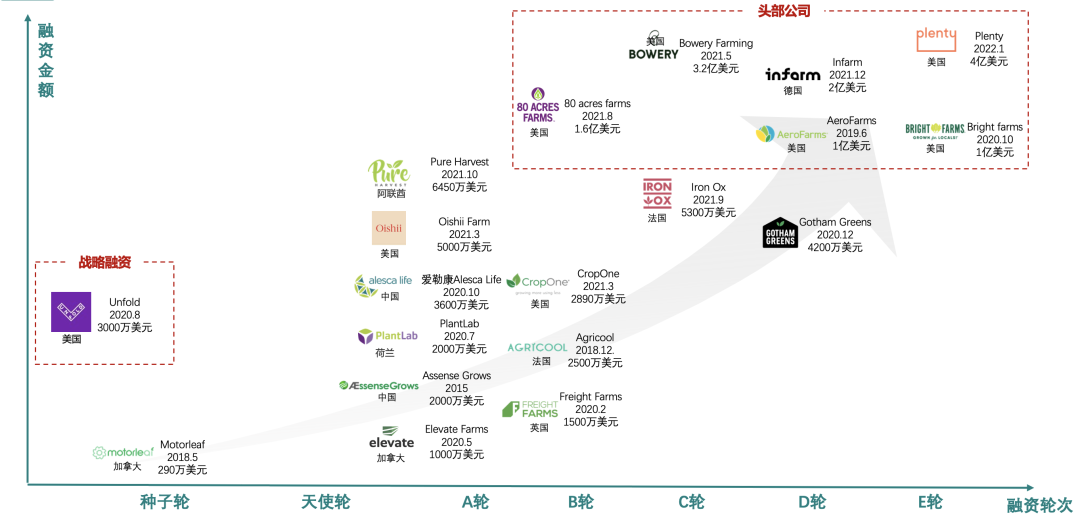 垂直農(nóng)業(yè)，一個可持續(xù)的未來？