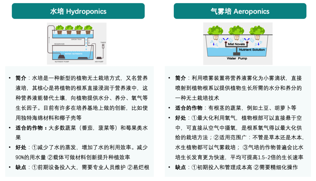 靠“種菜”吸引千萬(wàn)美元融資！揭秘Gardyn公司的品牌發(fā)展之路