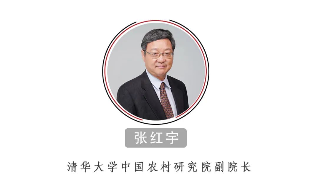 張紅宇：中國(guó)的糧食供給安全嗎？絕對(duì)沒(méi)有問(wèn)題！
