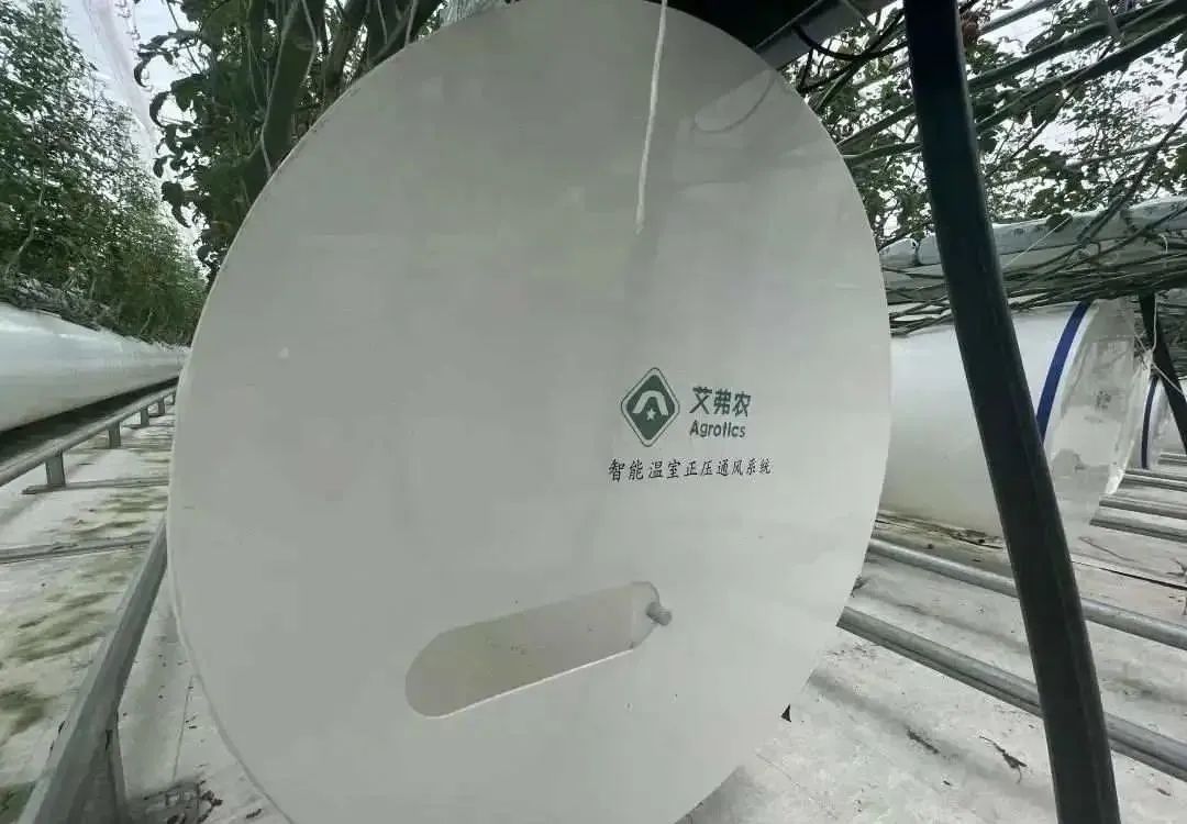 棚內(nèi)28攝氏度！嘉興這里的數(shù)字農(nóng)業(yè)車間很“清涼”