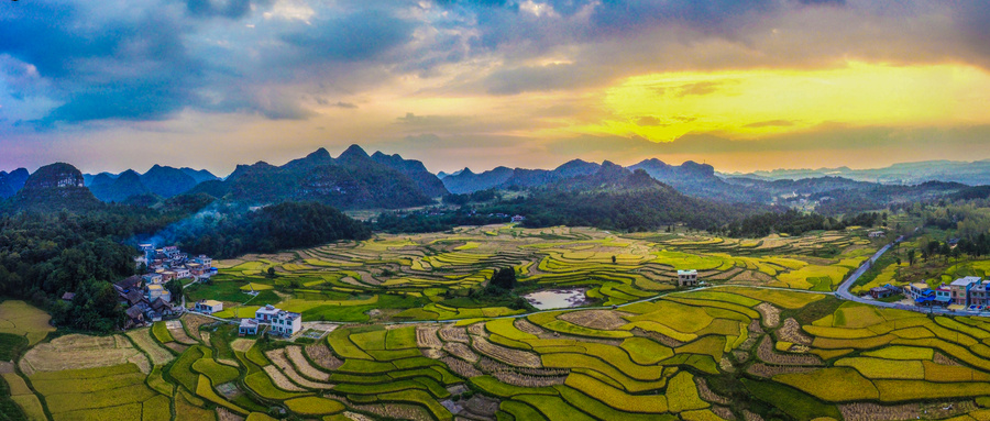 【縣域農(nóng)業(yè)】縣域是未來農(nóng)業(yè)品牌建設(shè)的主戰(zhàn)場！