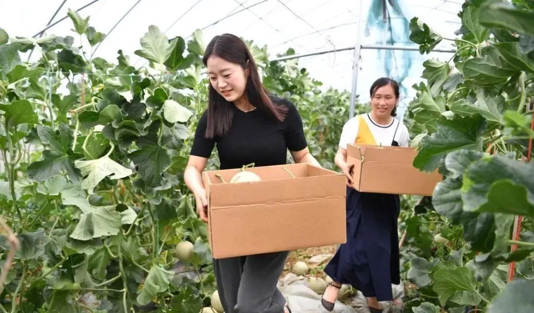 【縣域農(nóng)業(yè)】縣域是未來農(nóng)業(yè)品牌建設(shè)的主戰(zhàn)場！