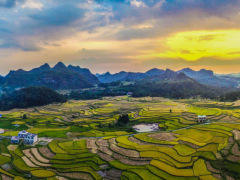 【縣域農(nóng)業(yè)】縣域是未來農(nóng)業(yè)品牌建設(shè)的主戰(zhàn)場！
